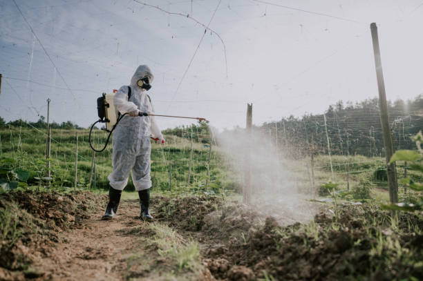 Best Local Pest Control Services  in Inverness, IL