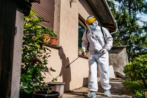 Professional Pest Control in Inverness, IL