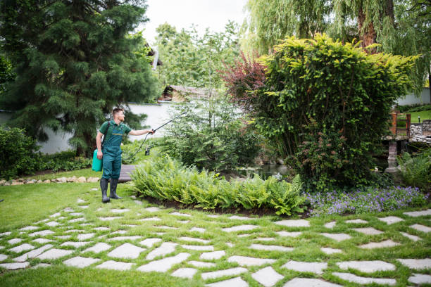Best Emergency Pest Control  in Inverness, IL