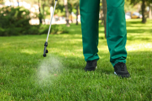 Best Wasp Removal Services  in Inverness, IL