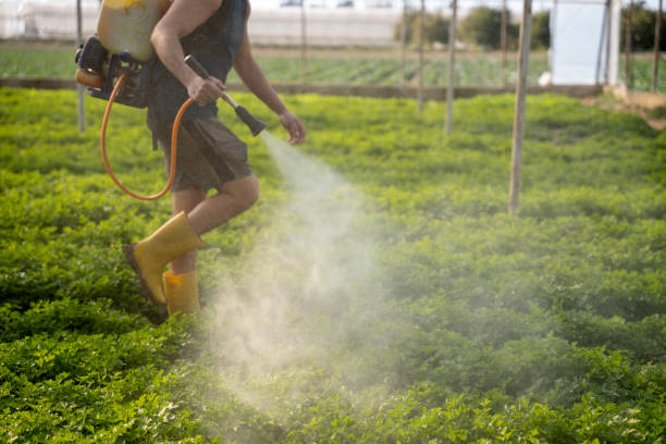 Pest Prevention Services in Inverness, IL