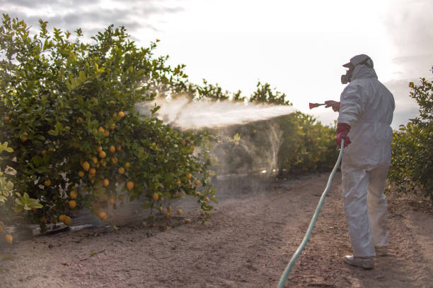 Best Exterminator Services  in Inverness, IL