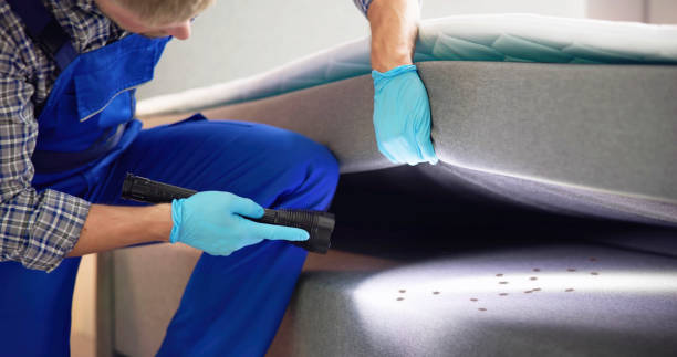 Best Cockroach Control Services  in Inverness, IL