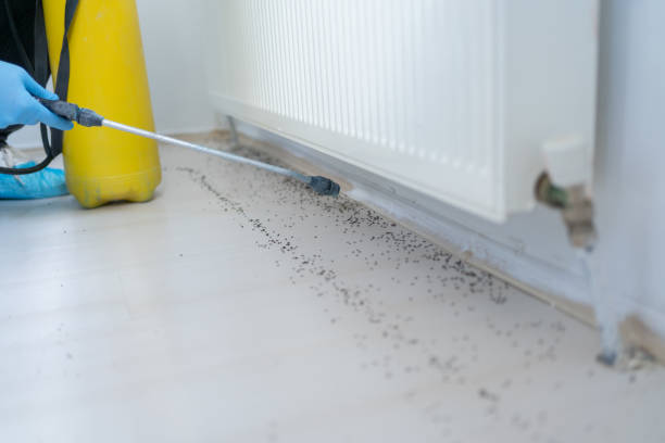 Best Best Pest Control Companies  in Inverness, IL