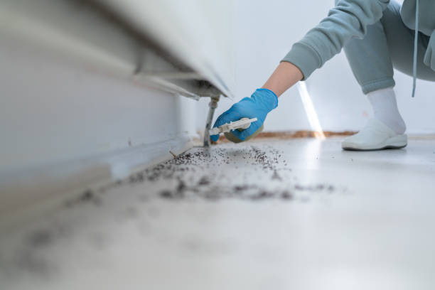 Best Pest Removal Services  in Inverness, IL