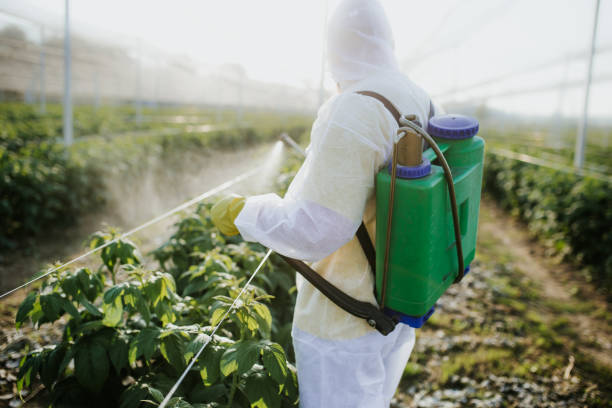 Pest Prevention Services in Inverness, IL